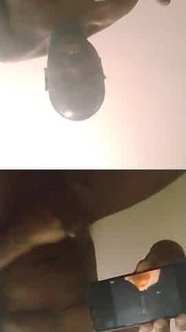 Orgasming to some solo black vids and testing my recent phone to watch if it works properly three