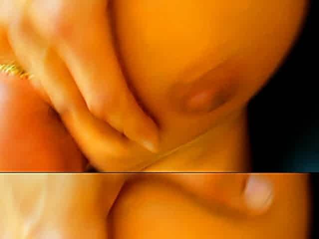 Big Ass Brunette Anal Doggystyle