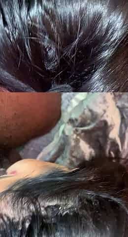 amateur interracial blowjob
