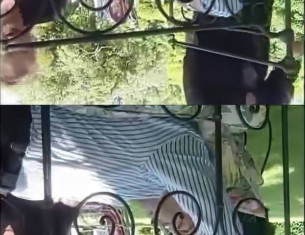 French older acquires large dick and piddle