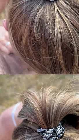small outdoor blowjob that ends in facial