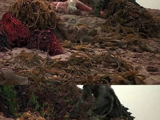 Humanoids From the Deep 1981 HD - Lynn Theel Nude