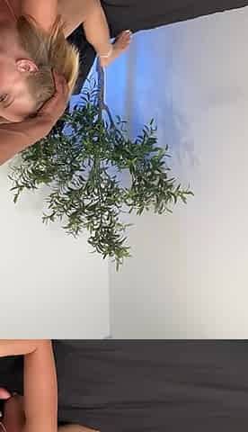 Cute Natural Blonde Takes BBC Backshots Y Creampied