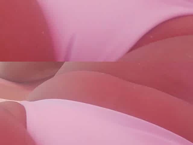 POV a Stranger Offers Me in Exchange for Sex