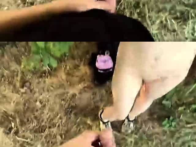 Petite Blonde Teen Fucked And Facialized Outdoors