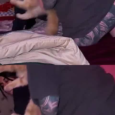 I set up a camera and caught my ally having sex with my wife.