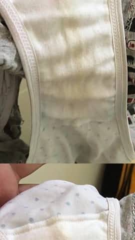 PANTY WIFE