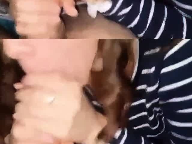 American Blonde Gives Blowjob in Car