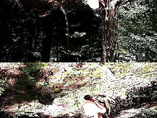 Kinky Couple Caught Playing in the Woods