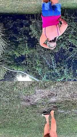 MILF Blowjob in the Woods