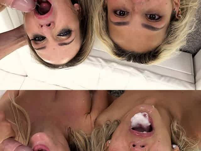 Amateur pov hardcore blowjob rimjob sex cumshot facial