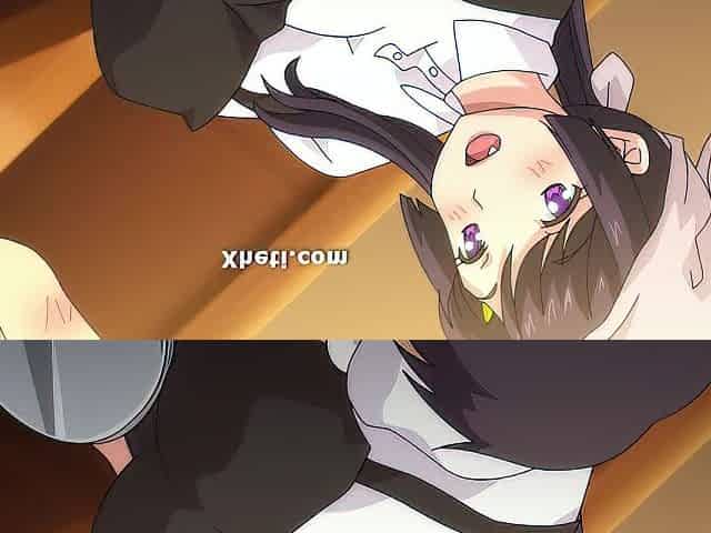Manga Manga, Animation porn