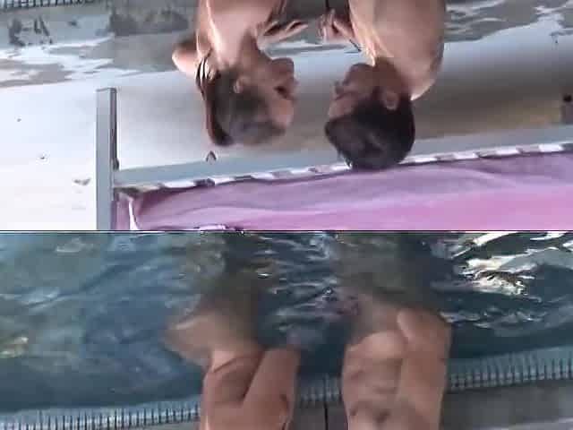 Brunette hair does 69 after pool bang
