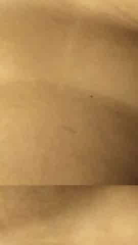 Beautiful Desi Bhabhi Sex with Ex Husband