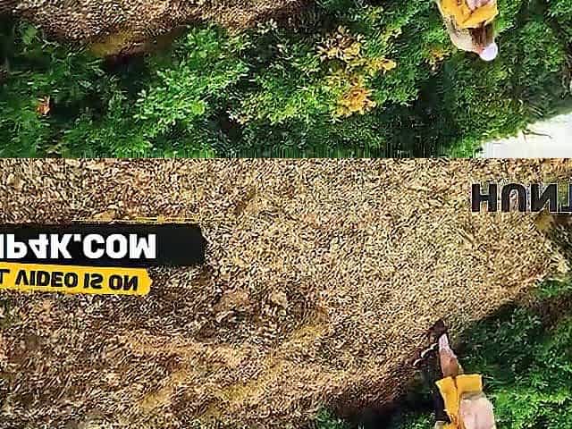 HUNT4K. Emejota hiker bangs in the forest