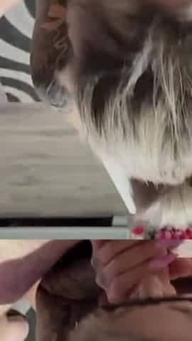 Surprise Blowjob