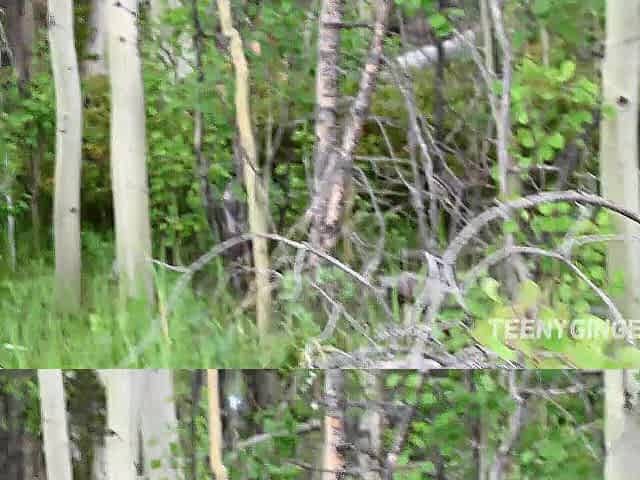 Youtuber Catches Redhead Masturbating in the Woods