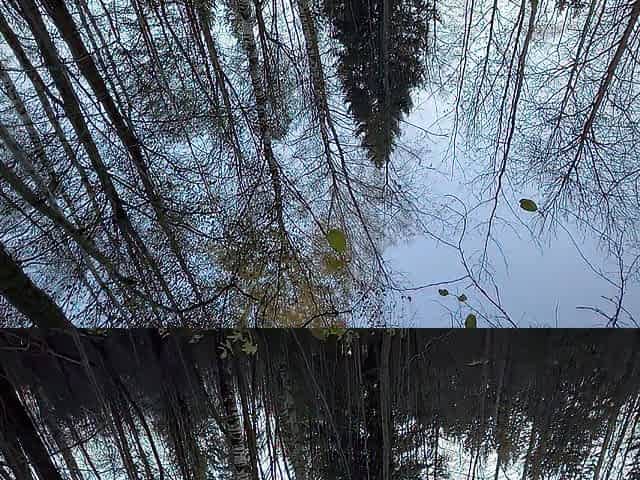 Glamorous hardcore masturbation in forest
