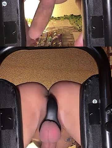 One Wild Web camera Cum Show