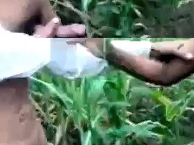 Indian amateur couple having sex