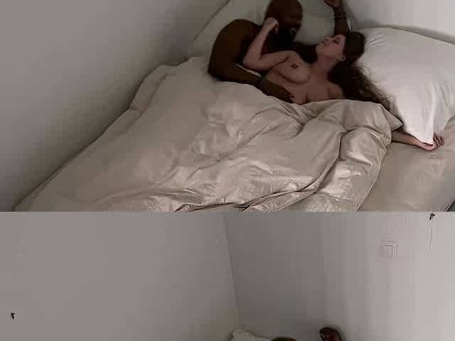 Bustys Cam Webcam Big Boobs Free Big Boobs Cam Porn Video
