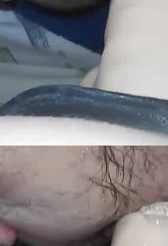 Hard Fuck My Husband in Ass.