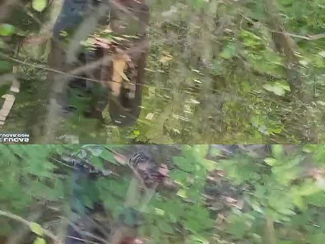 I'm banging an eighteen-year-old in the booty in the woods