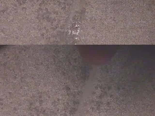 Peeing All Over My Soaking Urinate-Stained Carpet