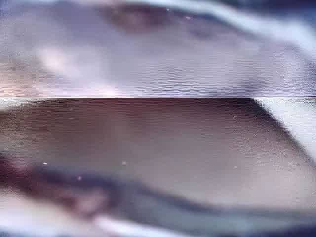 Hot outdoor pussy licking action