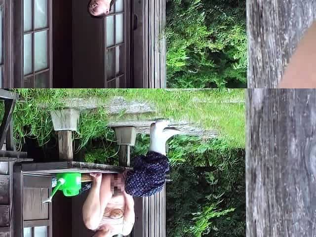 Asian MILF Banged Japanese