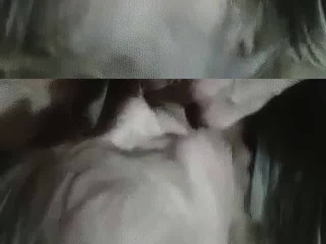 Moden dansk blowjob-glde