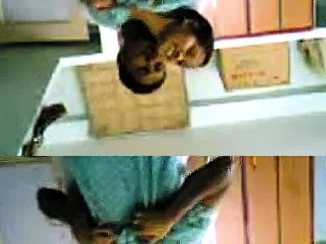Amateur Homemade Indian Hidden Cam
