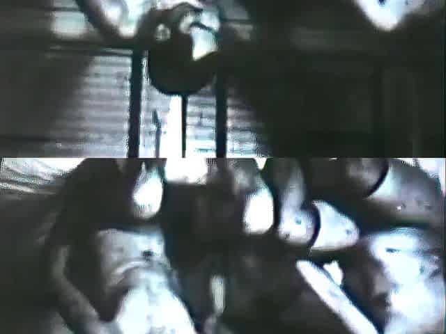 Youthful Hirsute Twats Vintage Drilled by Grandparents