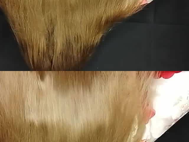 Thick And Long Hair Got A Mask Of Sperm!