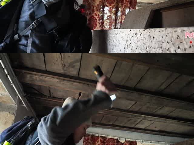 I Empty His Balls with My Mouth While We Visit an Abandoned Mansion!