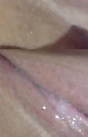 Wet Pussy