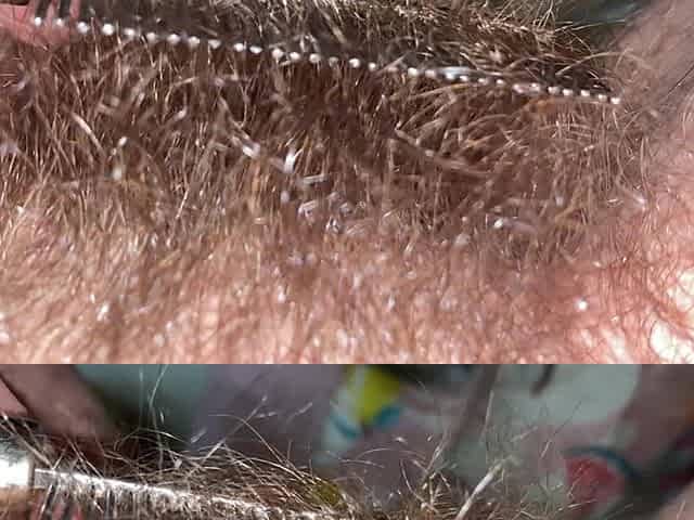 Brushing My Bush