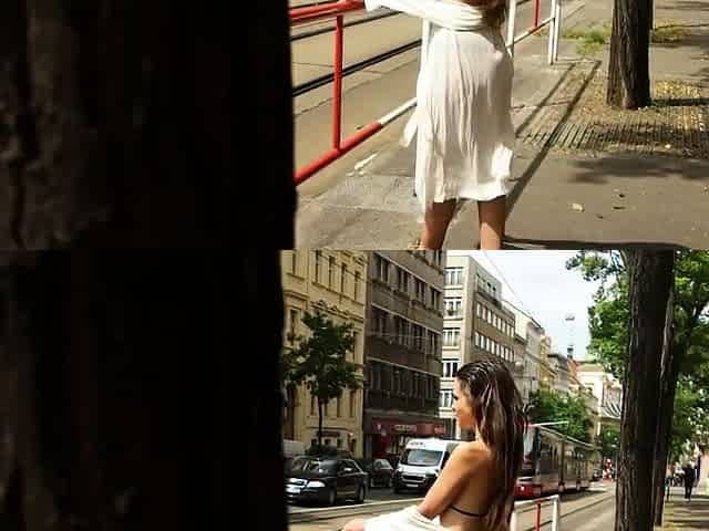 Brunette Amateur Sucking Dick Outdoors In Public