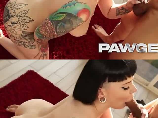 Tatted Pawg Takes It Doggystyle - Ciara Sinn