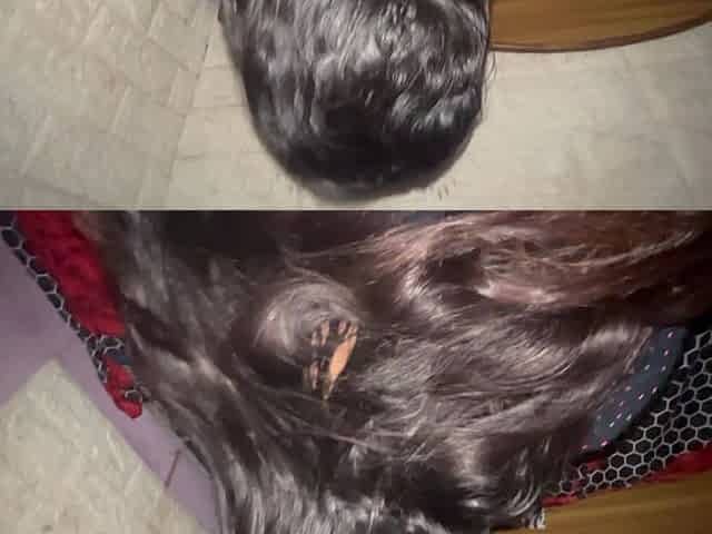 Desi Raat, Bina Warning