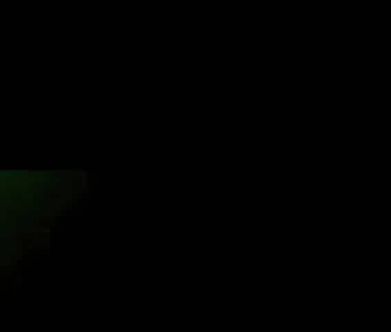 Japanese Couple's Private Blowjob Session