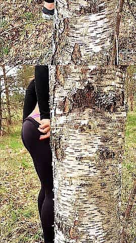 A Latvian woman's little soaked secrets in the forest