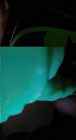 Amateur Alien Gestation