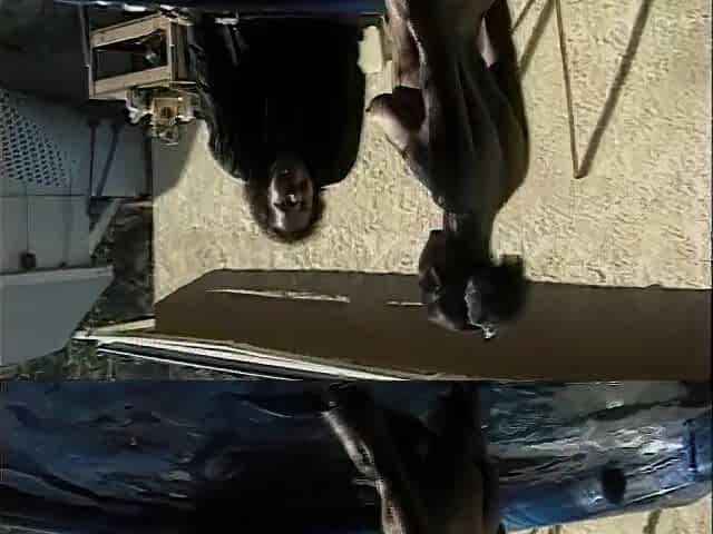 Ebony Magic Nymphos from AFRICA!!! - vol. #14