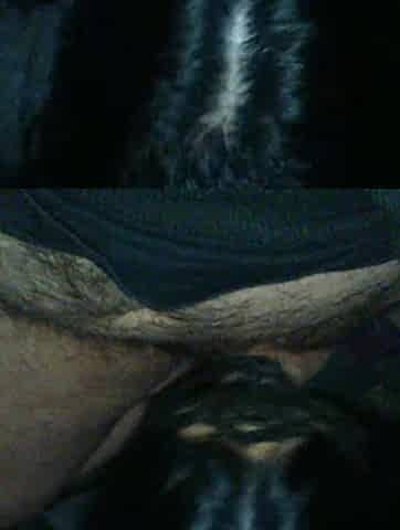 Hot Babe Gives Sloppy Blowjob POV Style