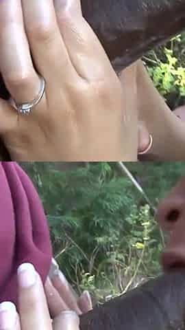 Busty ebony skin Chavon Taylor fucks and sucks a big black cock
