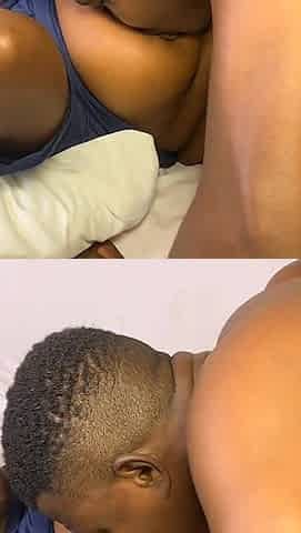 The African Cock I Ordered