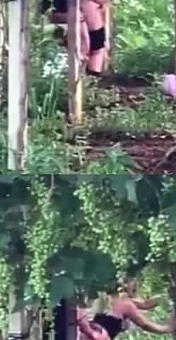 Spying blonde hooker fucking in the woods