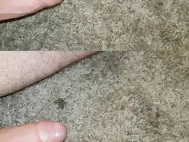 Pissing the carpet and cum hard