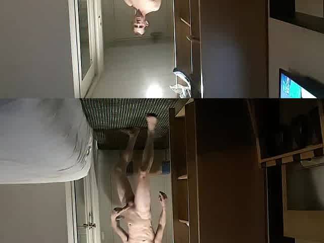 toejober wank with my feet three